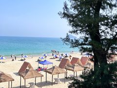 -西涌国际滨海旅游区