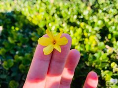 -星巴克(北京三里屯SOHO一店)