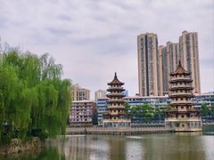-宝岛公园
