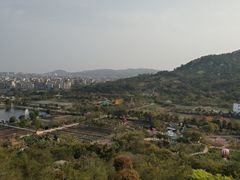 -丹樱生态园