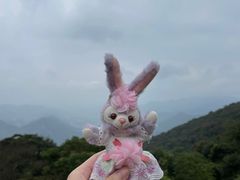 -广州市石门国家森林公园