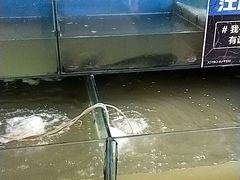 -大鹅岛灶台鱼·铁锅炖(水库路店)