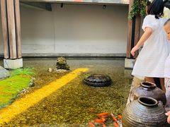 -几荷·恰似故人来(秀水广场店)