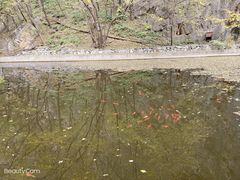 -北京上方山国家森林公园