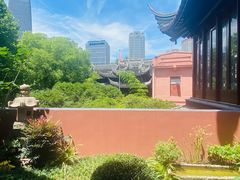 -上海白云观