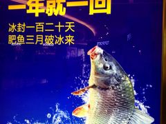 -西贝莜面村(金隅嘉品mall店)