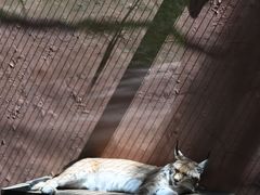 -青藏高原野生动物园