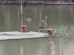 -苏州河梦清园环保主题公园