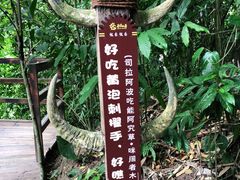-西双版纳基诺山寨