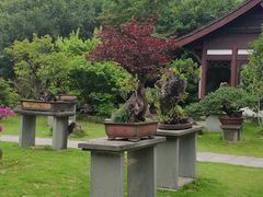 -杭州植物园