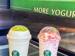 -茉酸奶(春熙路店)