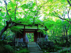 -常寂光寺