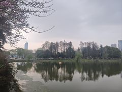 -月湖风景区