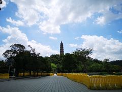 -顺峰山公园