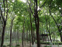 -云龙湖旅游景区