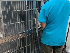 -荔康动物医院(康王北路店)