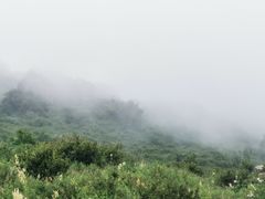 -白草畔自然风景区