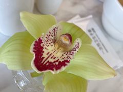 -金茂君悦·食在56海鲜自助餐厅ON56