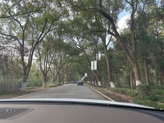 -东平国家森林公园