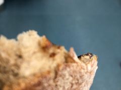 黑麦提子包-Ole 面包房(华润万象城店)