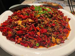 -院8里·小聚园(九眼桥店)