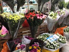 -无锡文化工艺品市场(槐古路店)