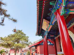-天津大悲禅院