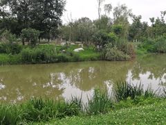 -白鹭湾湿地公园