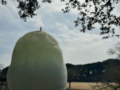 -上海方塔园
