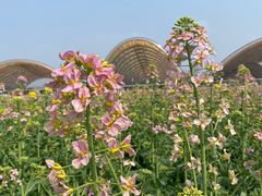 -中国天府农业博览园