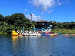 -济州森林小火车生态公园