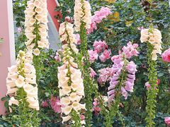 -人民公园(罗湖区)