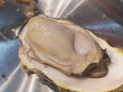 -蚝堡海鲜·威海菜·海肠捞饭·烧烤·亚洲吃蚝公司(幸福门店)