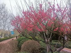 -山东外贸职业学院