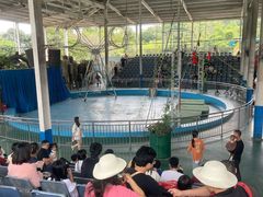 -泉州海丝野生动物世界