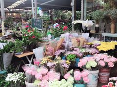 -曲阳花鸟市场(曲阳路店)