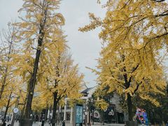 -西湖天地