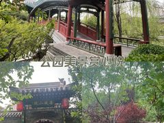 -迎泽公园