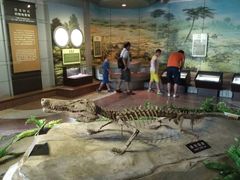 -自贡恐龙博物馆