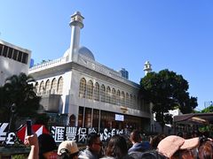 -Big Bus Tours 敞篷观光巴士