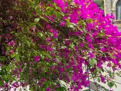 -储奇门鳝鱼火锅(总店)