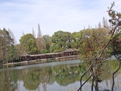 -棠湖公园