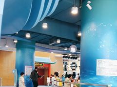 -中国宋庆龄青少年科技文化交流中心