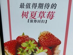 -树夏(建设路店)