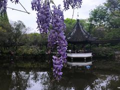 -上海醉白池公园