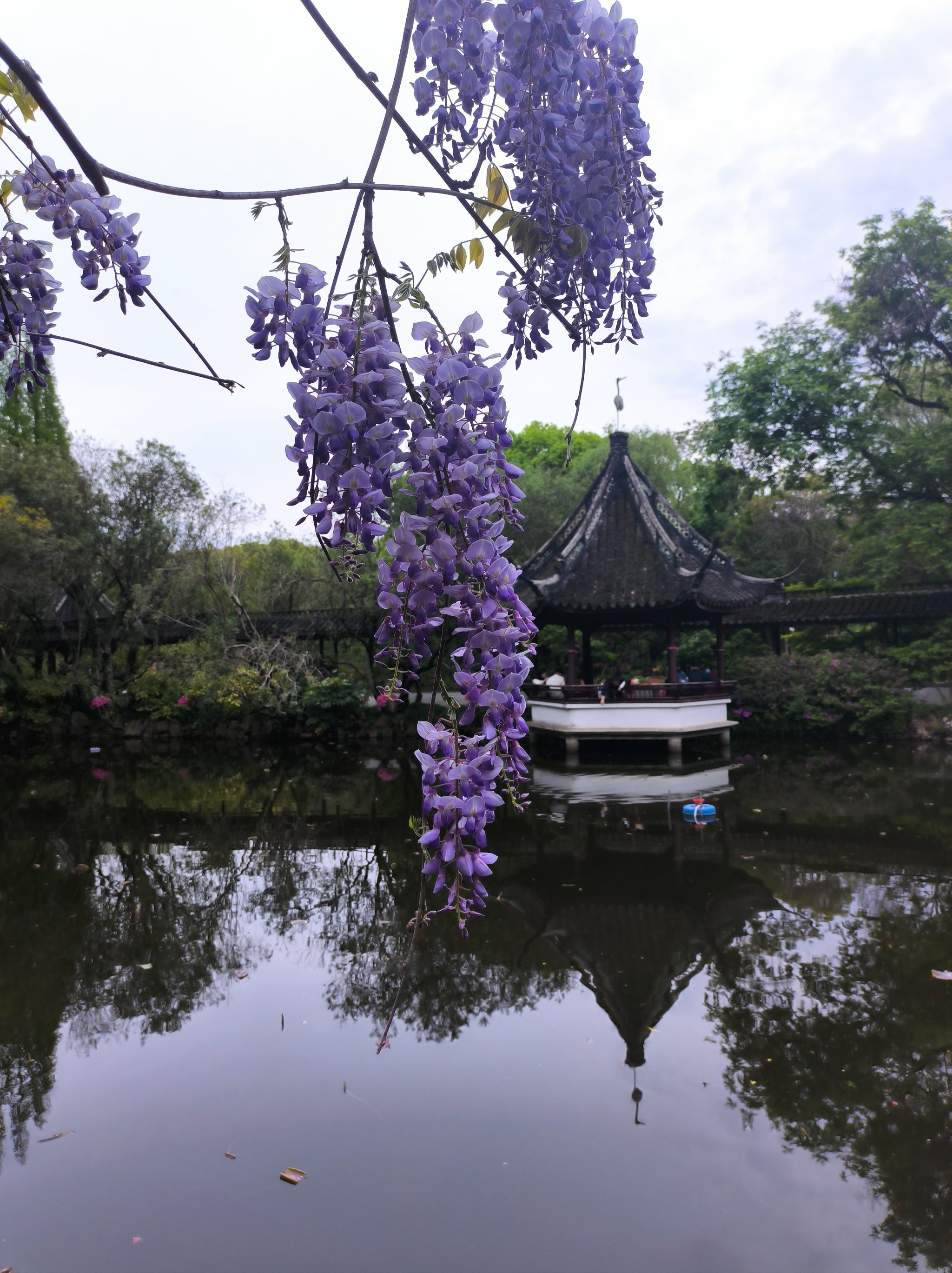 醉白池地铁站出来就是醉白池公园了