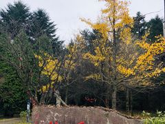 -四明山国家森林公园