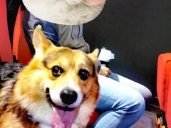 -天津美亚HeyLED影城(天津水游城店)