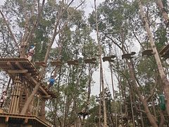-昆山城市生态森林公园