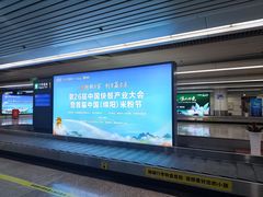 -绵阳南郊机场